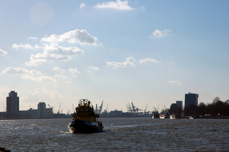 Rotterdam vanaf de Erasmusbrug