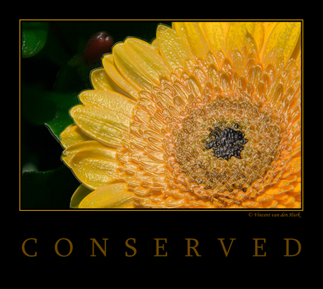Conserved