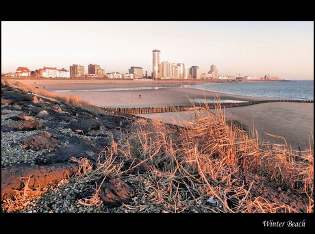 Winter Beach