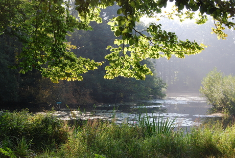 Park Landgoed Broekhuizen