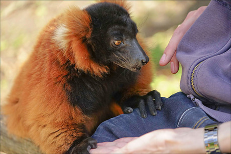 even de andere kant opkijken meneer of mevrouw........................................