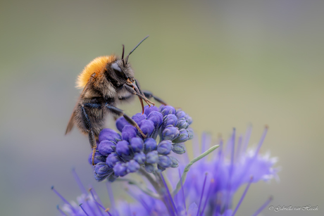 Looking back in time..