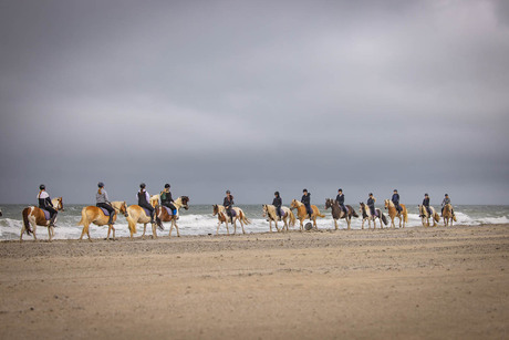 Paardenmeisjes ontmoeten paardenmeisjes