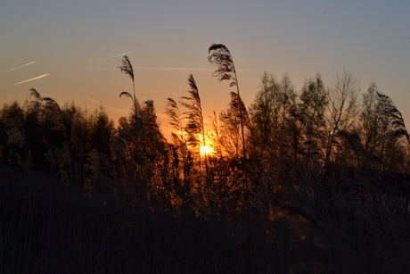 zonsondergang