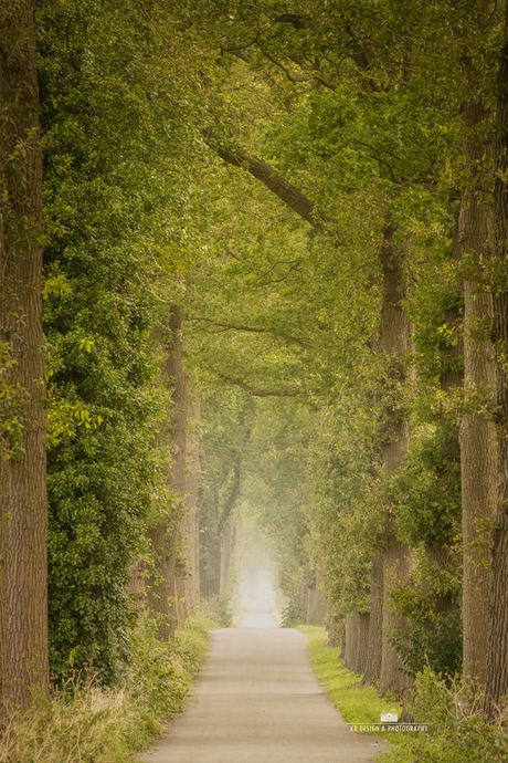 Een heel smal weggetje in Drenthe