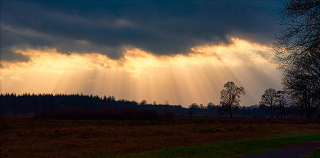 Kale duinen