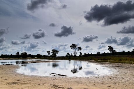 Waterplassen in de Drunense Duinen