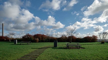 Dakpark Rotterdam