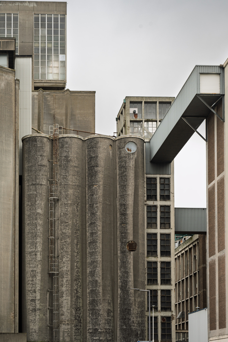 Rotterdam, Katendrecht