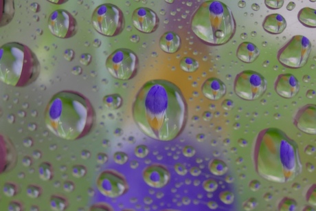 Waterdrupples
