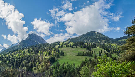 Reichenbach Im Kandertal