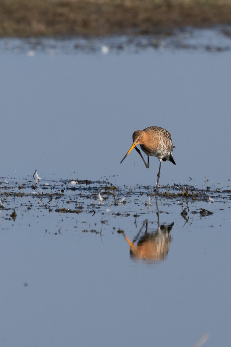 Even krabben aan mijn hoofd.