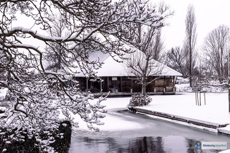 Rietschuur vult zich met riet