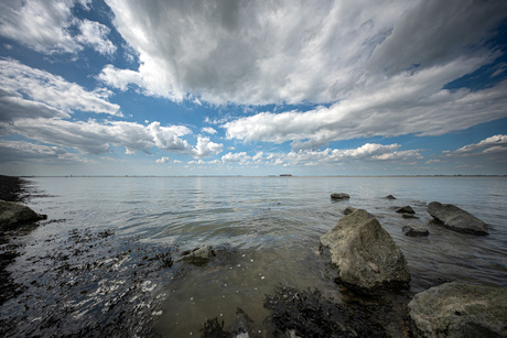 Westerschelde