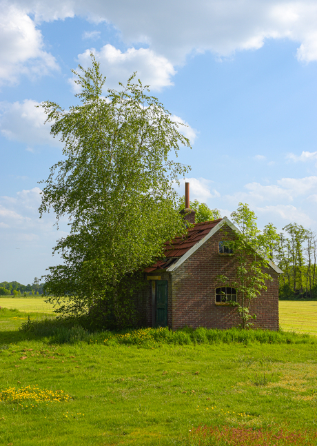 Verlaten schuurtje