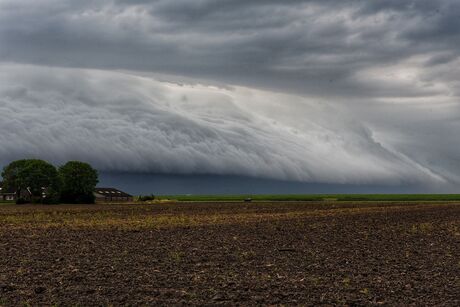 Shelfcloud 