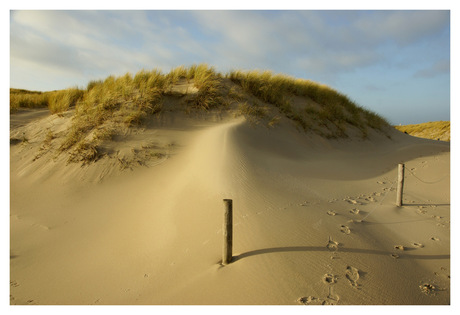 Texel