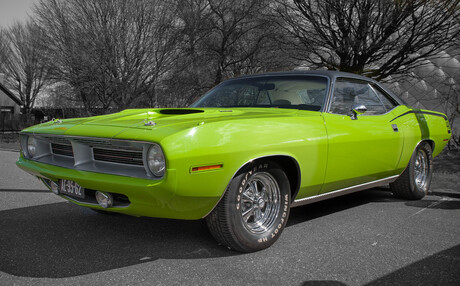 Cuda