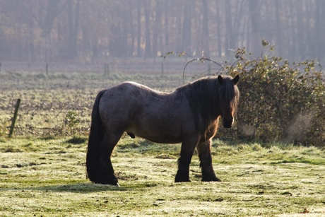 Herfst in Twente