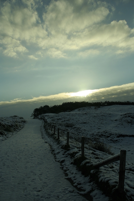 Duinen de Koog