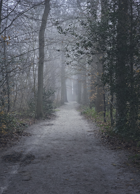 De mistige dagen van december 2025 I