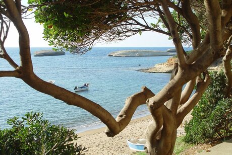 Sardegna beachtree