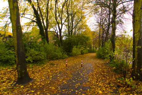 herfst in de stad