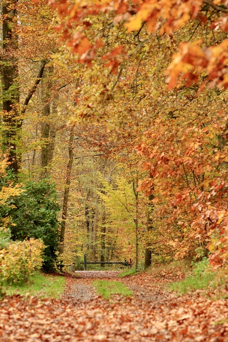 Doorkijkje