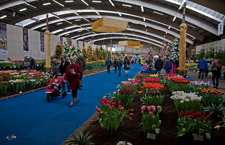 Holland flowers festival