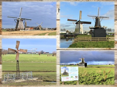Collage voor Nat Molendagen 8 en 9 mei   Div Molen fotos uit 2021 