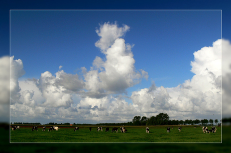 Mooi noordhollands landschap (2)