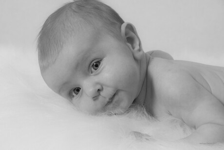 Eerste babyshoot