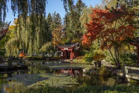 Hortus in herfstkleuren 2