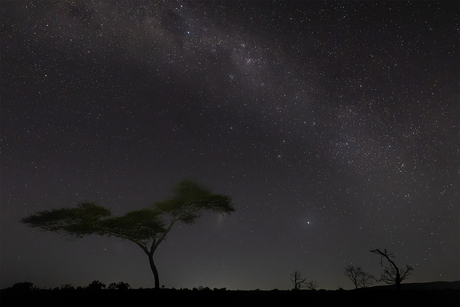 Nacht in Afrika