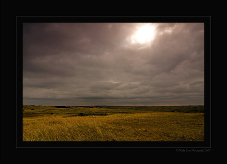 Ameland 6