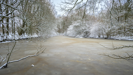 Winters Noordbos