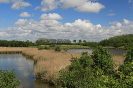 Stuivekenskerke