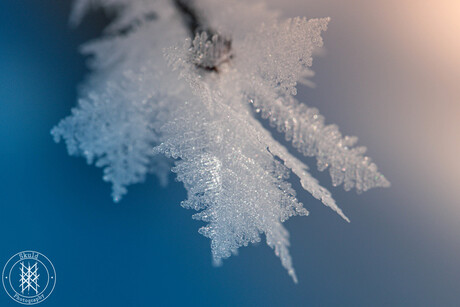 Crystal leaves