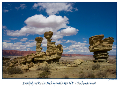 Ischigualasto NP detail