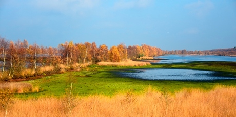 Bargerveen - zichtbaar hoogveen