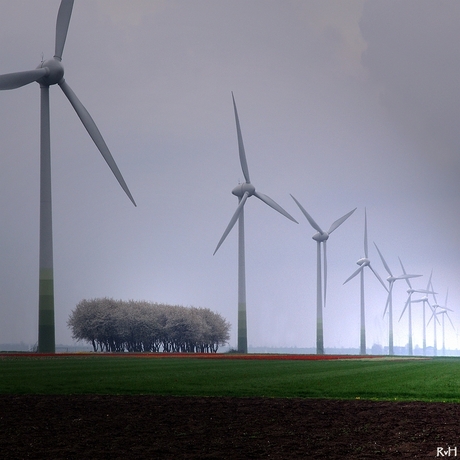 zonsopkomst in polder