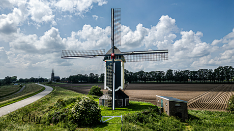 Korenmolen Den Hoef, Batenburg - Nederland (DR0628)