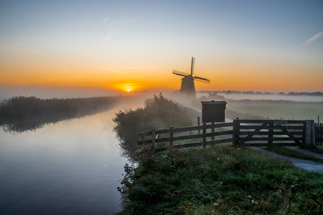 molen-5