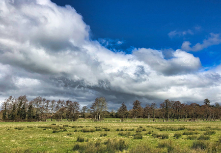 Landschap in N-H - Een opname gemaakt tijdens één van mijn wandelingen in de omgeving van de Waterleiding Duinen.

Zoomers , bedankt voor de vele mooie reacties en fa - foto door jzfotografie op 04-04-2021 - deze foto bevat: groen, wit, blauw, natuur, landschap, natuurgebied, bomen, luchten, ruimte, nederland, camera, veld, vrijetijd, sony, contrasten, n-h, wandelingen