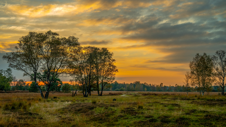 Haaksbergerveen 18-10-24