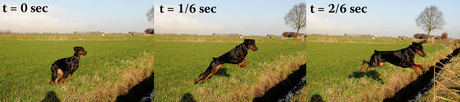 Dobersprong