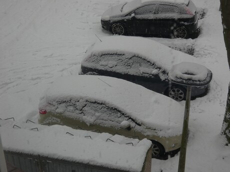 Auto,s in de sneeuw.