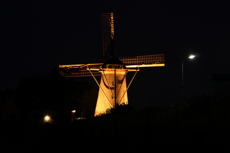 Molen van Goidschalxoord