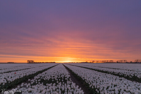 Zonsondergang