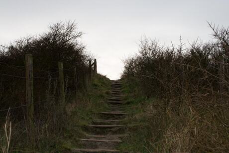 duinen